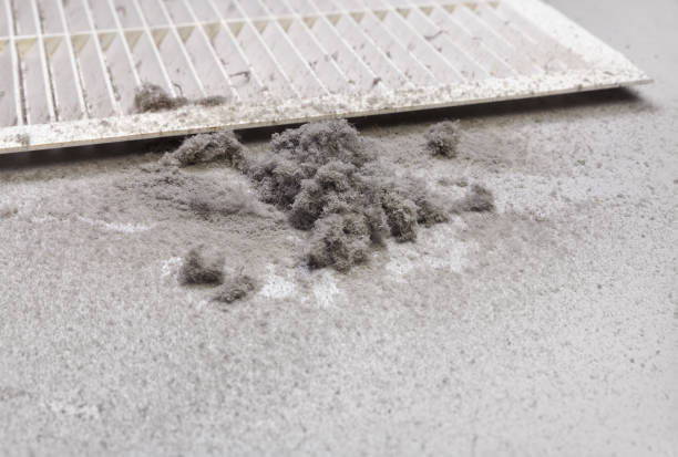 Best Emergency Air Duct Cleaning  in Biola, CA